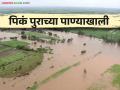 Kolhapur Flood: कोल्हापूर जिल्ह्यातील ७२ गावांतील ६० हजार हेक्टर क्षेत्र पाण्याखाली - Marathi News | Kolhapur Flood: 60 thousand hectares of 72 villages in Kolhapur district under water | Latest agriculture News at Lokmat.com