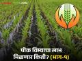 Crop Insurance : 'या' जिल्ह्यात १ लाखाहून अधिक शेतकरी विमा कवचाखाली - Marathi News | latest news Crop Insurance: More than 1 lakh farmers under insurance cover in 'this' district | Latest agriculture News at Lokmat.com