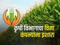 Crop Insurance शेतकऱ्यांना उरलेला अग्रीम द्या, अन्यथा कारवाईस तयार राहा - Marathi News | Crop Insurance Pay the remaining advance to the farmers, otherwise be ready for action | Latest agriculture News at Lokmat.com