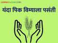 Kharif Pik Vima राज्यात वीस लाख शेतकऱ्यांनी काढला खरीप पीक विमा - Marathi News | Kharif Pik Vima: Two lakh farmers have taken Kharif crop insurance in the state | Latest agriculture News at Lokmat.com