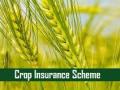 शेतकऱ्यांच्या पीक विम्यासाठी जिल्हानिहाय ११ कंपन्या, तीन वर्षांसाठी योजना राबविण्यास मान्यता - Marathi News | 11 district-wise companies for crop insurance of farmers, approved to implement scheme for three years | Latest maharashtra News at Lokmat.com