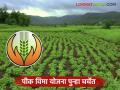 Pik Vima Yojana : पीक विमा योजना पुन्हा चर्चेत; विमा योजनेच्या दरात घोळच घोळ वाचा सविस्तर - Marathi News | latest news Pik Vima Yojana: Crop Insurance Scheme in discussion again; There is a lot of confusion over the insurance scheme rates. Read in detail | Latest agriculture News at Lokmat.com