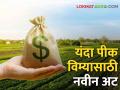 Crop Insurance New Rules पीक विम्यासाठी शासनाकडून शेतकऱ्यांसाठी नवीन अट लागू; शेतकरी अडचणीत - Marathi News | Kharif Crop Insurance Government imposes new conditions for crop insurance for farmers; Farmers in trouble | Latest agriculture News at Lokmat.com