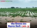 Crop Insurance : खरीप हंगामात मोठे नुकसान; पीक विम्यातून शेतकऱ्यांना दिलासा मिळेल का? - Marathi News | latest news Crop Insurance: Huge losses during Kharif season; Will farmers get relief from crop insurance? | Latest agriculture News at Lokmat.com