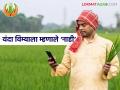 Crop Insurance : शेतकऱ्यांचा पीक विम्यावर विश्वास घटला? यंदा मोठ्या प्रमाणात उदासीनता - Marathi News | latest news Crop Insurance: Has farmers' trust in crop insurance decreased? Large-scale depression this year | Latest agriculture News at Lokmat.com