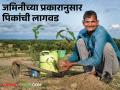 Land Management : यंदा तुम्ही जमिनीच्या प्रकारानुसार पिकाची निवड केली का? जाणून घ्या सविस्तर  - Marathi News | Latest News according to type of land which crops should be cultivated by farmers | Latest agriculture News at Lokmat.com