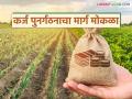 Crop Loan : अतिवृष्टीग्रस्त शेतकऱ्यांना मोठा दिलासा; कर्ज पुनर्गठनाचा मार्ग मोकळा वाचा सविस्तर - Marathi News | latest news Crop Loan: Big relief for farmers affected by heavy rains; Path cleared for loan restructuring Read in detail | Latest agriculture News at Lokmat.com