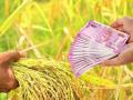 पीककर्जाच्या एकरी दरात सुसुत्रता आणण्याच्या हालचाली - Marathi News | Movements to bring harmonization in the acreage rate of crop loans | Latest buldhana News at Lokmat.com