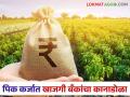 Pik Karja Vatap : पीककर्ज वाटपांमध्ये खासगी बँकांचा आखडता हात - Marathi News | Pik Karja Vatap: Private Banks back on for crop loan distribution farmer | Latest agriculture News at Lokmat.com