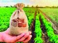 पीककर्जासाठी सोसायट्या आग्रही - Marathi News | Societies insist on crop loans | Latest nashik News at Lokmat.com