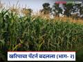 Crop Pattern Change : पिक पॅटर्नमध्ये बदल: ज्वारी मागे, मक्याची झेप दुप्पट वाचा सविस्तर - Marathi News | latest news Crop Pattern Change: Change in crop pattern: Sorghum lags behind, maize doubles in leaps and bounds Read in detail | Latest agriculture News at Lokmat.com