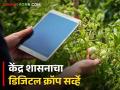 Digital Crop Survey : राज्यात 34 तालुक्यांतील 2558 गावांत यंदा डिजिटल क्रॉप सर्व्हे, केंद्र शासनाचा प्रकल्प  - Marathi News | Latest News digital crop survey in 2858 villages of 34 talukas in Maharashtra see about project | Latest agriculture News at Lokmat.com