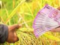 १५ टक्के शेतकऱ्यांनाच रब्बीचे ५० कोटी कर्ज वाटप - Marathi News | 50 crore loan to 15 percent farmers in Buldhana district | Latest buldhana News at Lokmat.com