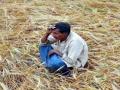 खरीप पेरणी तोंडावर; पण मिळाला नाही पीक विमा ! - Marathi News |  Kharif sowing comes near; But not got crop insurance! | Latest akola News at Lokmat.com