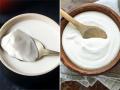 दही आणि योगर्टमध्ये काय आहे फरक?; फायदे जाणून व्हाल चकीत - Marathi News | do you know the difference between curd and yogurt if not know here | Latest sakhi News at Lokmat.com
