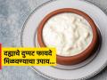 दह्यासोबत 'या' ३ गोष्टी खाणं करा सुरू, शरीराला मिळतील एकापेक्षा एक जबरदस्त फायदे! - Marathi News | Start eating these 3 things with curd you will get more benefits | Latest sakhi News at Lokmat.com