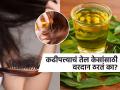 कढीपत्त्याच्या पानांचं तेल भसाभस लावलं तर केस गळणं थांबतं, कोंडा जातो? डॉक्टर म्हणतात.. - Marathi News | Can curry leaves oil reduce hair fall know what doctor tells | Latest sakhi News at Lokmat.com