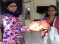 महिलेची हरविलेली पर्स महिला पोलिसाकडून परत - Marathi News | The woman's lost purse returned from the policewoman | Latest dhule News at Lokmat.com
