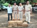 वनविभागाने पकडले सागवानी लाकूड - Marathi News | Forest Department seized teak wood | Latest dhule News at Lokmat.com