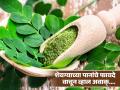 आयुर्वेदात शेवग्याला मानलं जातं सुपरफूड, फक्त शेंगाच नाही तर पानांपासूनही मिळतात फायदे! - Marathi News | Amazing health benefits of drum stick or moringa leaves | Latest health News at Lokmat.com