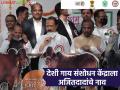 Pune : पुण्यातील देशी गाय संशोधन व प्रशिक्षण केंद्राला अजितदादांचे नाव देण्यास मान्यता - Marathi News | Approval to name the Desi Cow Research and Training Center in Pune after Ajitdada | Latest agriculture News at Lokmat.com