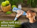 कामात बिझी असल्याने दिवसभर पाणी पिणं विरसता, या टिप्स फॉलो करून वाढवा इनटेक - Marathi News | Tips to drink more water every day in Summer | Latest health News at Lokmat.com