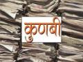 १.७३ कोटी दस्तऐवजात कुणबी जातीच्या २० लाख नोंदी - Marathi News | 20 lakh records of Kunbi caste in 1.73 crore documents | Latest amravati News at Lokmat.com
