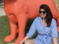 ट्विंकल खन्नाचा हा फोटो पाहिलातं? हा टोला मोदींना तर नाही? - Marathi News | people compare twinkle khanna latest photo with pm narendra modis kedarnath photo | Latest filmy News at Lokmat.com