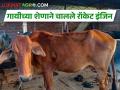 जपानकडून गायीच्या शेणावर चालणाऱ्या रॉकेट इंजिनची चाचणी - Marathi News | | Latest agriculture News at Lokmat.com