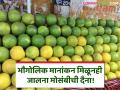 Jalna Mosambi : "मोसंबीला GI मानांकन असूनही आम्ही जेसीबी लावून बागा उपटून टाकल्या" - Marathi News | | Latest agriculture News at Lokmat.com