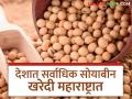 Soybean Procurement : सोयाबीन खरेदी करणाऱ्या प्रमुख पाच राज्यांना मागे टाकत महाराष्ट्र अव्वल स्थानी - Marathi News | Soybean Procurement: Maharashtra tops the list of top five soybean purchasing states | Latest agriculture News at Lokmat.com
