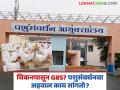 Pune GBS Virus : चिकन खाल्ल्यामुळे GBS नाहीच! पशुसंवर्धन विभागाचा अहवाल काय सांगतो? वाचा सविस्तर - Marathi News | Pune GBS Virus No GBS after eating chicken! What does the Animal Husbandry Department report say? Read in detail | Latest agriculture News at Lokmat.com