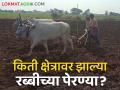Rabi Crop Sowing : रब्बी हंगामात आत्तापर्यंत किती क्षेत्रावर झाल्या पेरण्या? - Marathi News | Rabi Crop Sowing How many areas have been sown in the Rabi season so far | Latest agriculture News at Lokmat.com