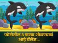 चॅलेंज! 10 सेकंदात शोधून दाखवा या फोटोतील फरक, बरेचजण शोधून थकले! - Marathi News | Optical illusion : Find 3 differences between the pictures of a whale | Latest social-viral News at Lokmat.com