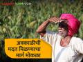 अवकाळी, गारपीटीचे पैसे मिळण्याचा मार्ग मोकळा, शेतकऱ्यांना मिळणार तीन हेक्टरपर्यंत मदत - Marathi News | Clear the way to get money for bad weather, hail, farmers will get help up to three hectares | Latest agriculture News at Lokmat.com