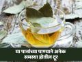 रोज सकाळी रिकाम्या पोटी प्या तमालपत्राचं पाणी, फायदे वाचून लगेच सुरू कराल हा उपाय! - Marathi News | Benefits of drinking bay leaf water every morning on an empty stomach | Latest health Photos at Lokmat.com