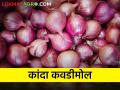 कांदा पिकाचा लागवड खर्च तरी पदरात पडतो की नाही ? - Marathi News | Plantation cost of onion crop is covered or not? | Latest agriculture News at Lokmat.com