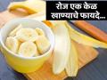 रोज एक केळ खाल्ल्याने मिळतात एकापेक्षा एक फायदे, वाचाल तर रोज खाल! - Marathi News | These are the health benefits of eating banana everyday | Latest health News at Lokmat.com