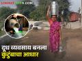 एका गायीपासून सुरू केलेला दुग्ध व्यवसाय दहा गायींपर्यंत पोहचवला! वाचा प्रेरणादायी प्रवास  - Marathi News | Latest News dairy business of Shila Vanjari woman farmer in Wardha district | Latest agriculture News at Lokmat.com