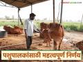 पशुपालकांनी व्यवसायासाठी घेतलेल्या कर्जावर राज्य शासनाचा दिलासादायक निर्णय, काय आहे निर्णय  - Marathi News | Latest News State government's comforting decision on loans taken by livestock farmers for business | Latest agriculture News at Lokmat.com