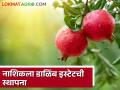 Agriculture News : नाशिकला डाळिंब इस्टेट तर परळीत सीताफळ इस्टेट स्थापनेला मान्यता, वाचा सविस्तर  - Marathi News | Latest News Agriculture News Approval for establishment of pomegranate estate in Nashik and sitafal estate in Parli, read in detail  | Latest agriculture News at Lokmat.com