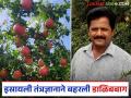 डाळिंब बागेत इस्रायली तंत्रज्ञान; प्रति एकर 7 टन उत्पादन, पाच लाखांचा निव्वळ नफा - Marathi News | Latest News dalimb success Story Israeli technology in pomegranate orchard 7 tons of production per acre, net profit of five lakhs | Latest agriculture News at Lokmat.com