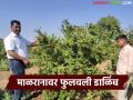 माळरानावर फुलवले डाळिंबाचे सुपर भगवा वाण, पाच लाखांचा निव्वळ नफा, कसं केलं नियोजन  - Marathi News | Latest news Super saffron variety of pomegranate farming, net profit of five lakhs, how was the planning | Latest agriculture News at Lokmat.com