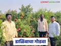 Farmer Success Story : माळरानात चमकलं सोनं; डाळिंबामधून मिळालं ३५ लाखांचं उत्पन्न - Marathi News | Farmer Success Story : Gold shines on barren land; Income of Rs 35 lakhs earned from pomegranates | Latest agriculture News at Lokmat.com