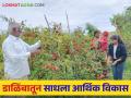 Pomegranate Farming Success Story: शेतातील नवनवीन प्रयोगशीलतेमुळे विष्णुरावांना डाळिंब बागेतून मिळतेय लाखो रुपयांचे उत्पन्न - Marathi News | Pomegranate Success Story Vishnurao is getting lakhs of rupees from his pomegranate orchard due to innovative farming practices | Latest agriculture News at Lokmat.com
