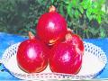 डाळिंबाला उच्चांकी भाव - Marathi News | High price for pomegranate | Latest nashik News at Lokmat.com