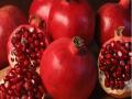 पन्नास गुंठ्यातल्या डाळिंबाला दहा वर्षात एक कोटीचा बहर  - Marathi News | pomegranate farming success story of Beed district farmer | Latest agriculture News at Lokmat.com
