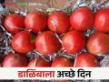अकलूज बाजार समितीत डाळिंबाला मिळतोय कसा बाजारभाव - Marathi News | How is the market price of pomegranates in the Akluj Bazaar Committee? | Latest agriculture News at Lokmat.com