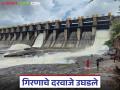 गिरणा धरण 95 टक्क्यांपर्यंत भरले, जळगावकरांची दोन वर्षांची पाण्याची चिंता मिटली! - Marathi News | Girna Dam filled to 95 percent, Jalgaon residents' two-year water worries resolved! | Latest agriculture News at Lokmat.com