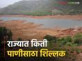 Maharashtra Dam Storage : तुमच्या जवळच्या धरणांत किती पाणी शिल्लक? वाचा संपूर्ण यादी - Marathi News | Latest News Check daily Water storages of dams in Maharashtra see dam list | Latest agriculture News at Lokmat.com